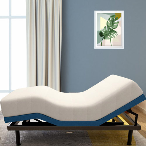 Alwyn Home Killeen Zero Gravity Adjustable Bed with Wireless Remote